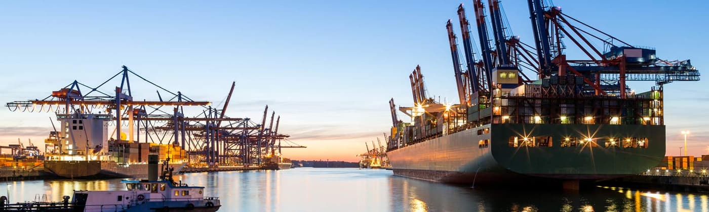Large ocean-going vessels loading shipping containers at a maritime port