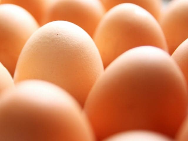 Food-Production