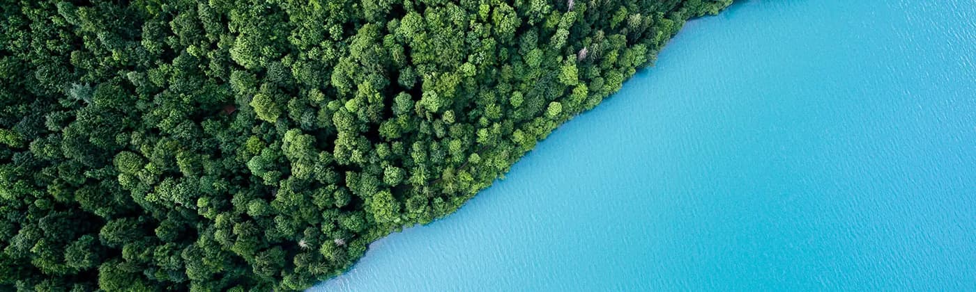 A blue ocean meeting a green forest from above