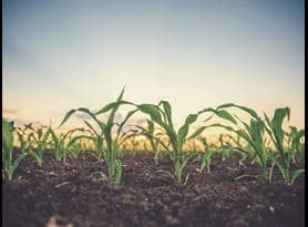 Agriculture-page