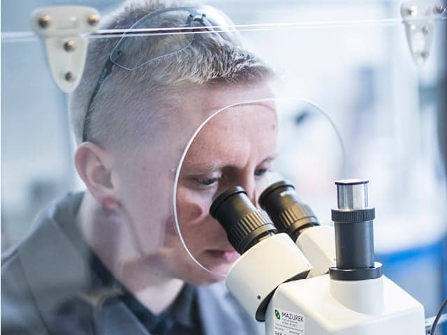 Asbestos Testing Services