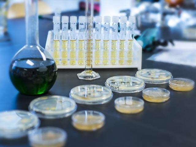 Global Pharmaceutical Testing Services | Element
