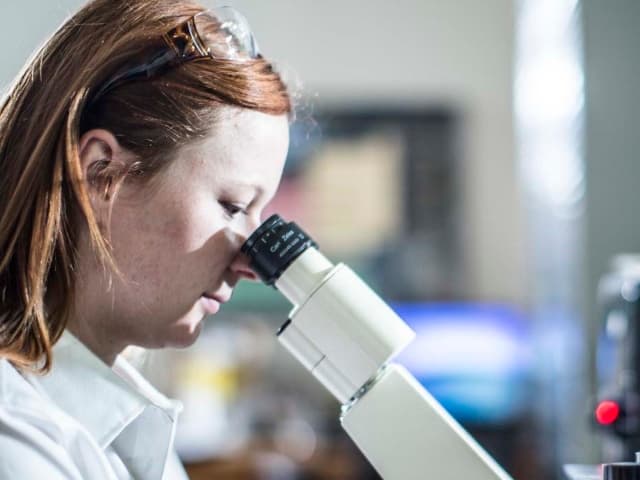 Medical Device Testing Services | Element