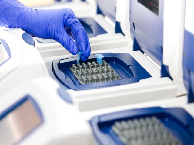 Analyst loading samples into PCR for rapid mycoplasma detection testing