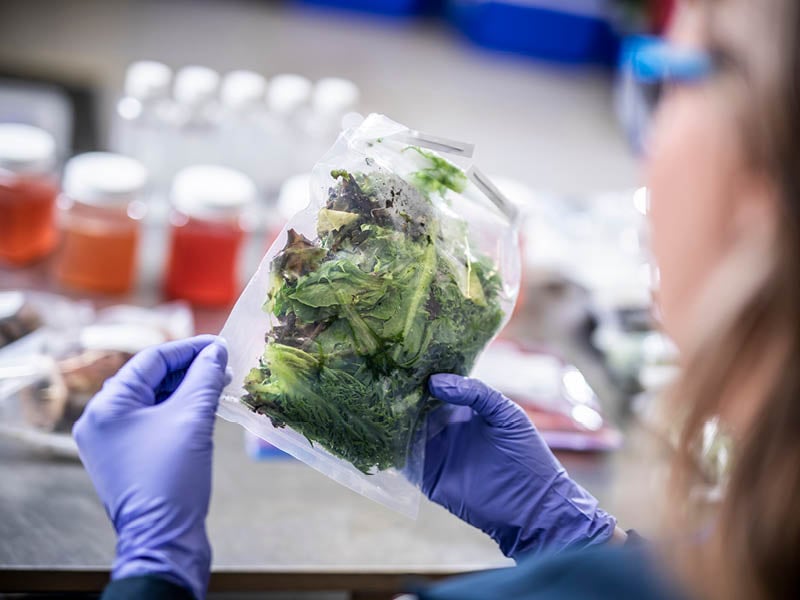 Food Quality Testing – Food Safety Testing | Element